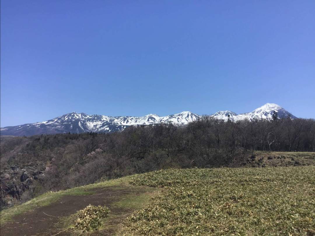 【北海道・知床】森歩き絶景ツアー