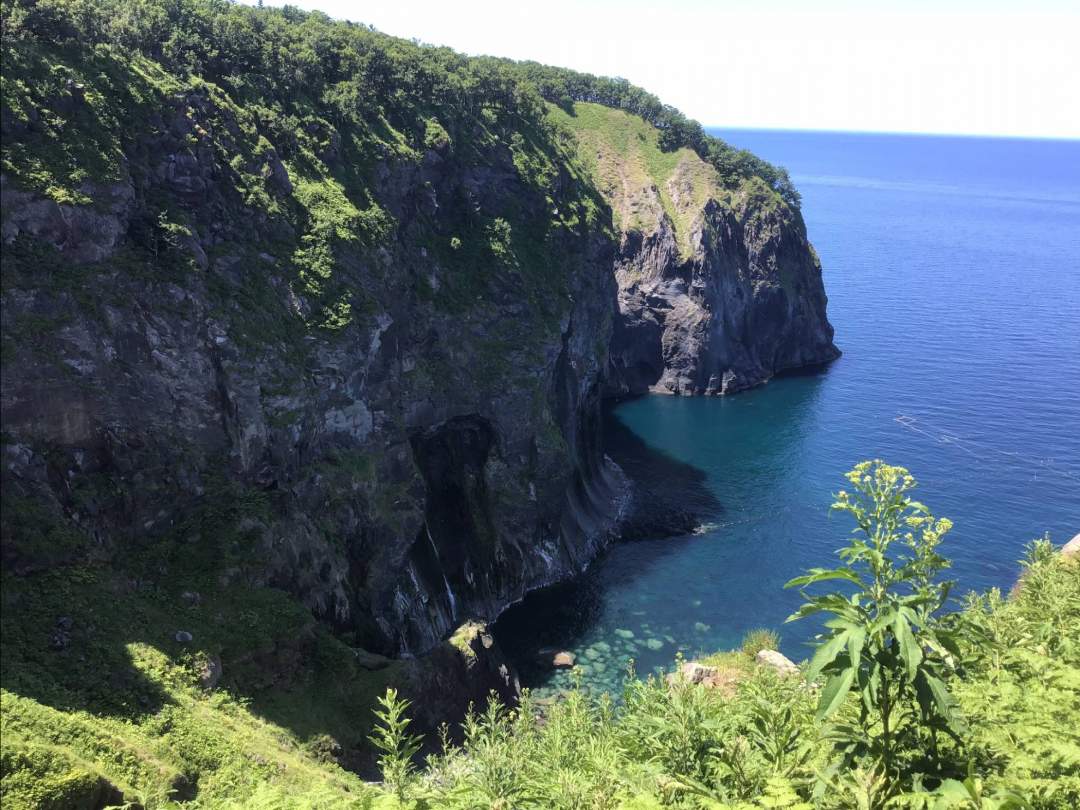 【北海道・知床】森歩き絶景ツアー