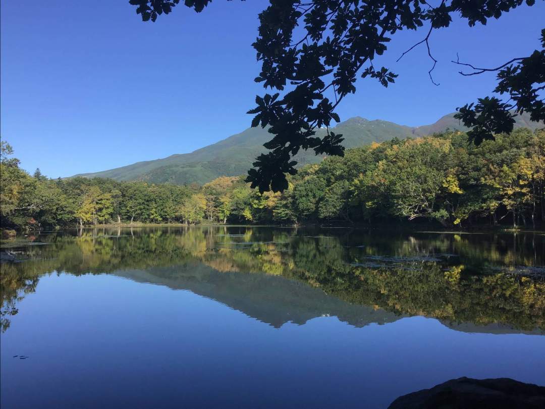 【北海道・知床】知床五湖全周ツアー　