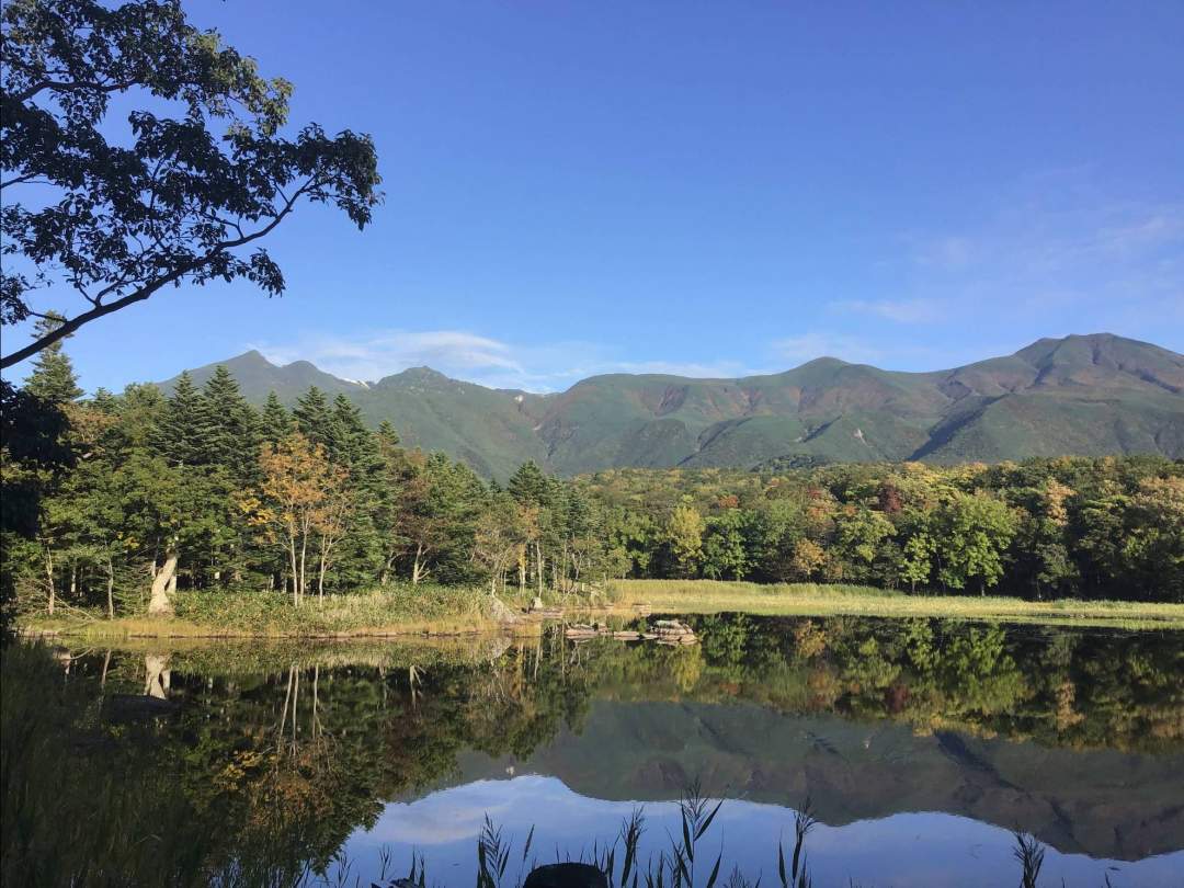 【北海道・知床】知床五湖全周ツアー　