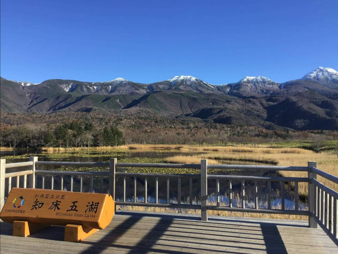 【北海道・知床】知床五湖全周ツアー　