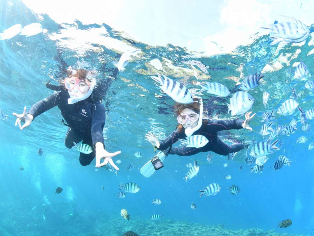 ボートが断然お得！らくちん！青の洞窟シュノーケル｜GoPro写真動画【無制限撮影】は当店だけ！餌やり・駐車場・シャワー・ドライヤー全て無料