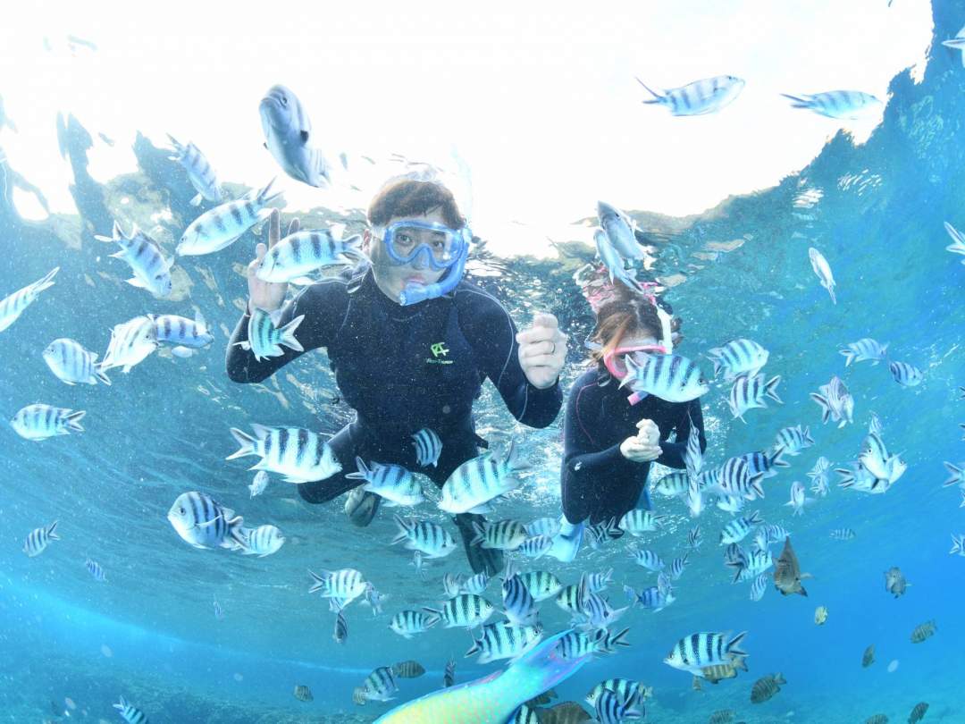 ボートが断然お得！らくちん！青の洞窟シュノーケル｜GoPro写真動画【無制限撮影】は当店だけ！餌やり・駐車場・シャワー・ドライヤー全て無料