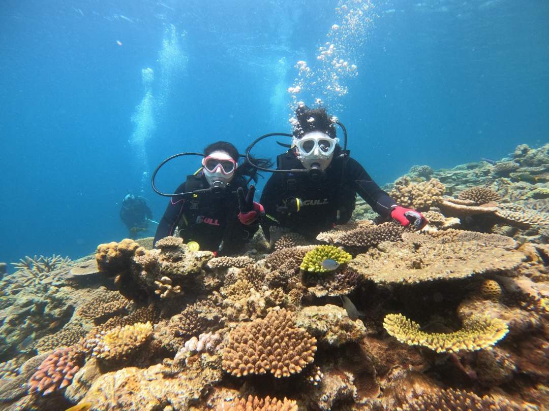 【沖縄・水納島・瀬底島】ボート体験ダイビング（２ダイブ）　午前１組　午後１組限定 写真撮影プレゼント