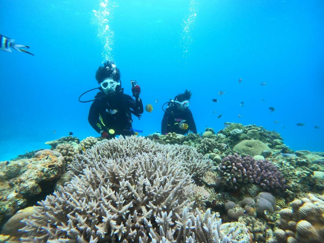 【沖縄・水納島・瀬底島】ボート体験ダイビング（２ダイブ）　午前１組　午後１組限定 写真撮影プレゼント