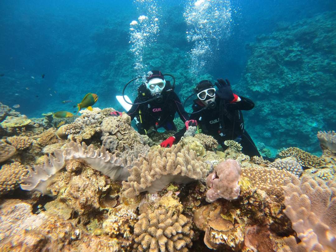 【沖縄・水納島・瀬底島】ボート体験ダイビング（２ダイブ）　午前１組　午後１組限定 写真撮影プレゼント