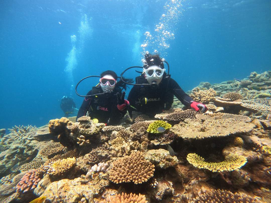 【沖縄・水納島・瀬底島】ボート体験ダイビング（１ダイブ）午後１組限定開催 写真撮影プレゼント！