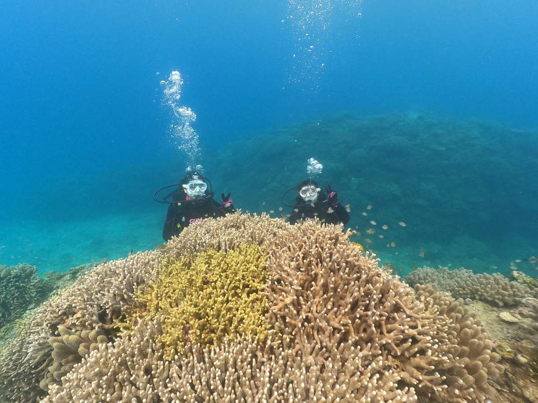 【沖縄・水納島・瀬底島】ボート体験ダイビング（１ダイブ）午後１組限定開催 写真撮影プレゼント！