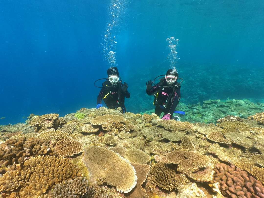 【沖縄・水納島・瀬底島】ボート体験ダイビング（１ダイブ）午後１組限定開催 写真撮影プレゼント！