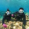 【沖縄・水納島・瀬底島】ボート体験ダイビング（１ダイブ）午後１組限定開催 写真撮影プレゼント！