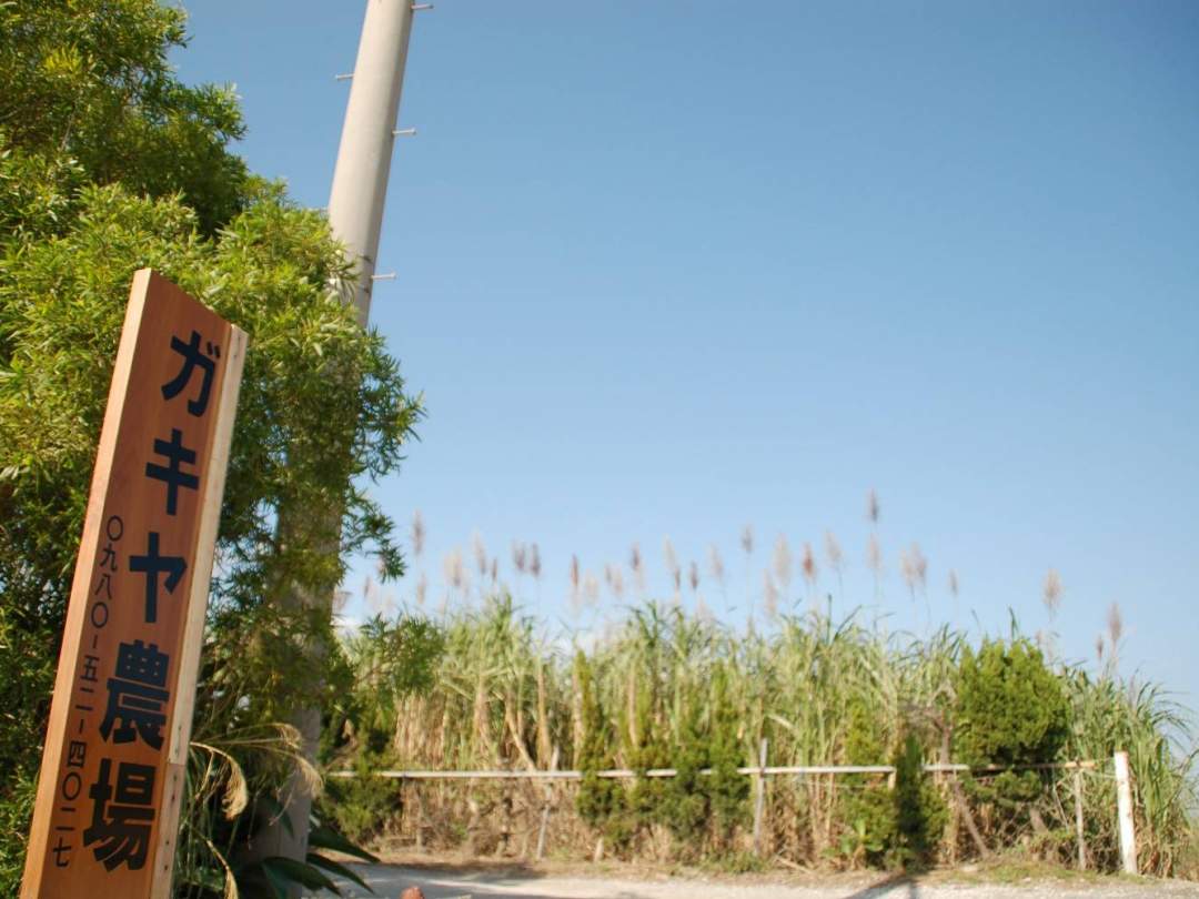 この看板が目印！