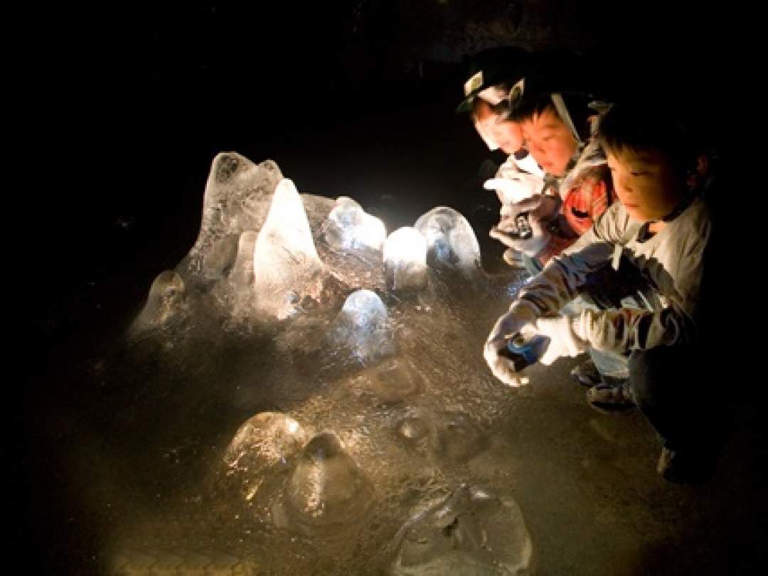 ★樹海の地底奥深く、一年を通じて溶けることのない氷の芸術作品が見られます。