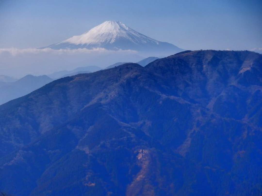 頂上手前では西側に、天気に恵まれれば 雲上の富士山を眺めることもできますよ