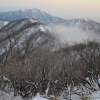【丹沢大山登山】少人数でゆっくり 大山登山 （基本 往復ｹｰﾌﾞﾙｶｰ利用）