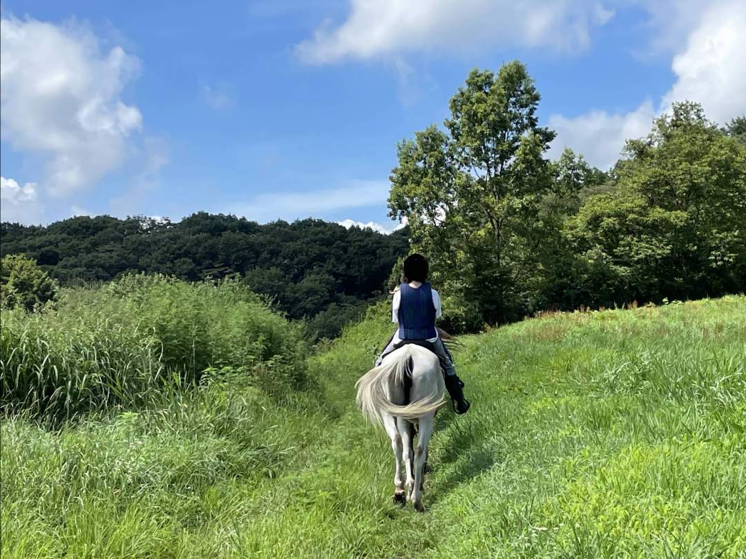広大な牧草地を散策する優雅なトレッキング♪