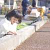 福島の国見町で開催のマルシェイベント【空想マルシェ】