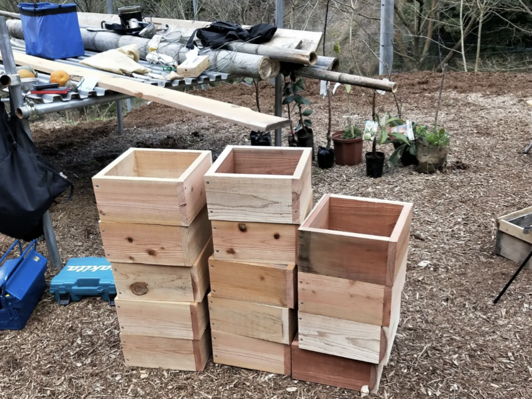 分蜂🐝に向け3月までに準備を完了させます。