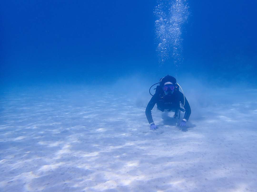 初めてのダイビングはやっぱり美しい海で行いたい。。。そんな方には屋久島の海は最高のフィールドです。
太陽光が差し込みキラキラした水底はとても幻想的！