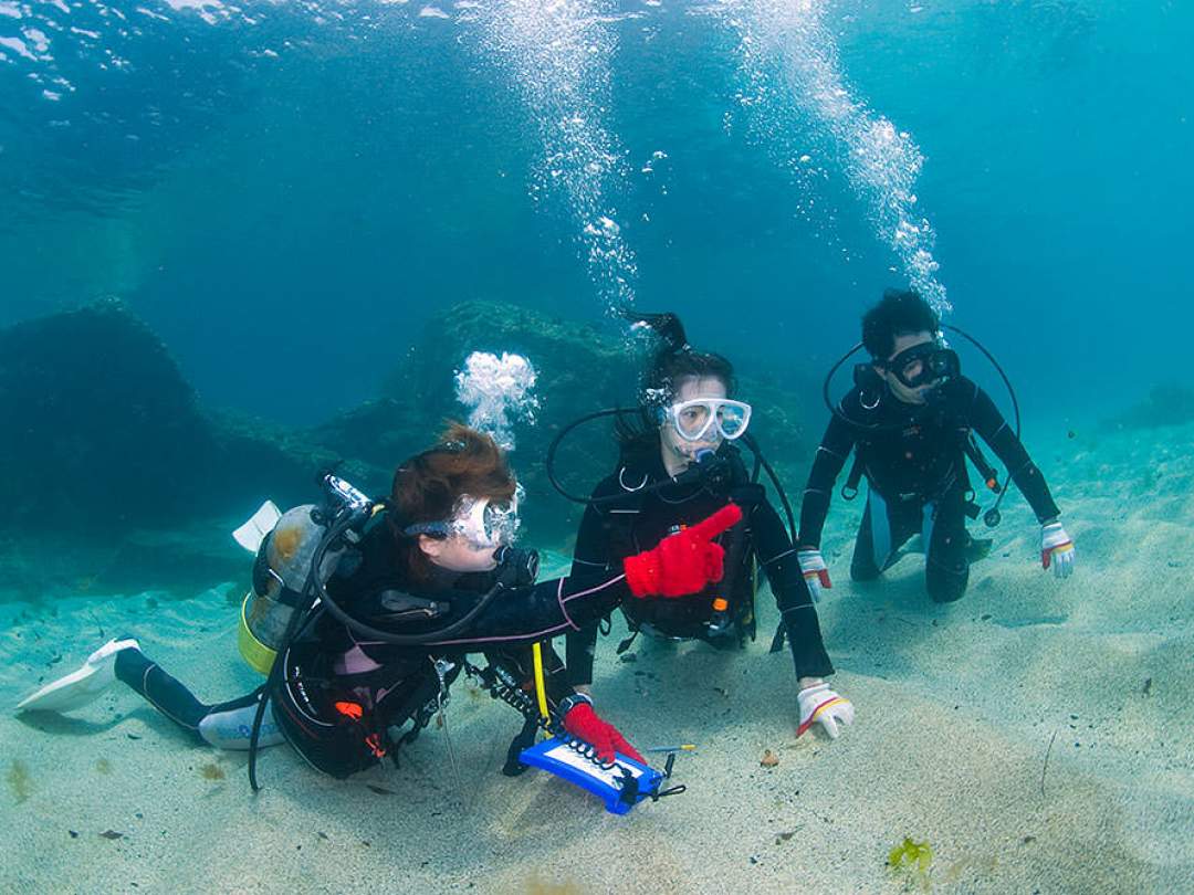 水中での呼吸体験に慣れてきて、心に余裕が出てきた帰り道は魚や水中景観を見る余裕も出てくるでしょう。
当店のインストラクターが今度はガイドに大変身して海の中をご案内いたします！