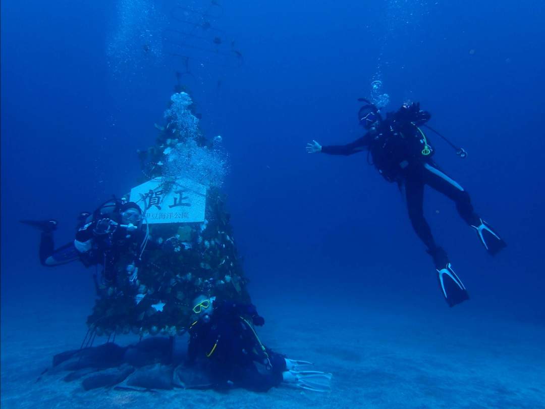 海の中を見てみよう！まずは伊豆の海で体験ダイビング
