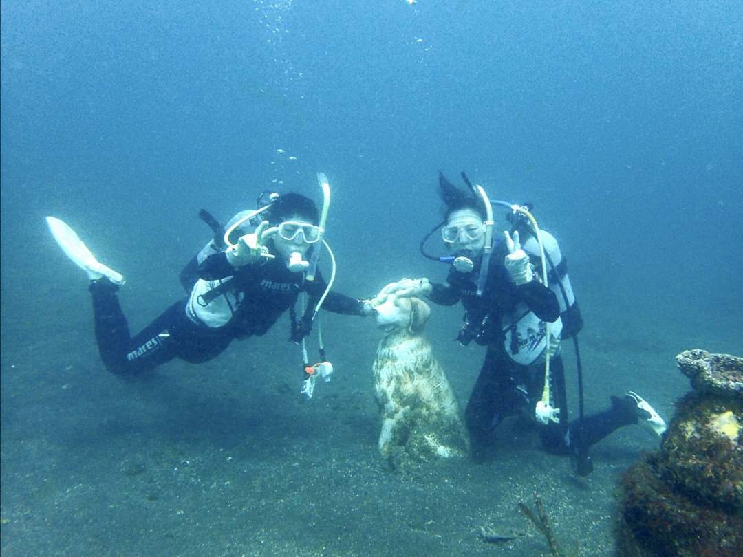海の中を見てみよう！まずは伊豆の海で体験ダイビング