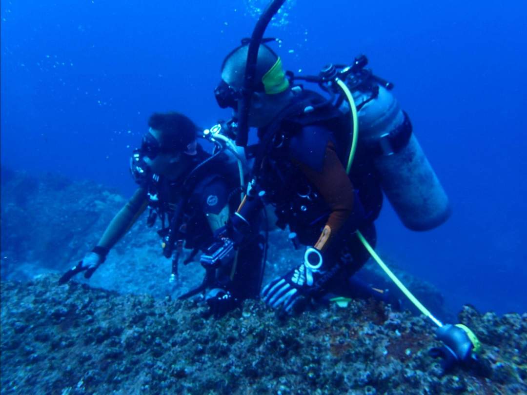 海の中を見てみよう！まずは伊豆の海で体験ダイビング