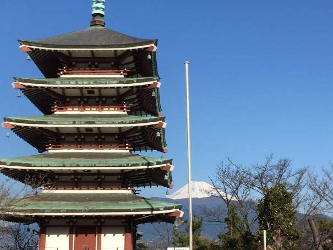 富士山をバックに五重塔や桜が見られます