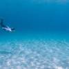 屋久島はどこまでも続く澄んだ美しい海が魅力