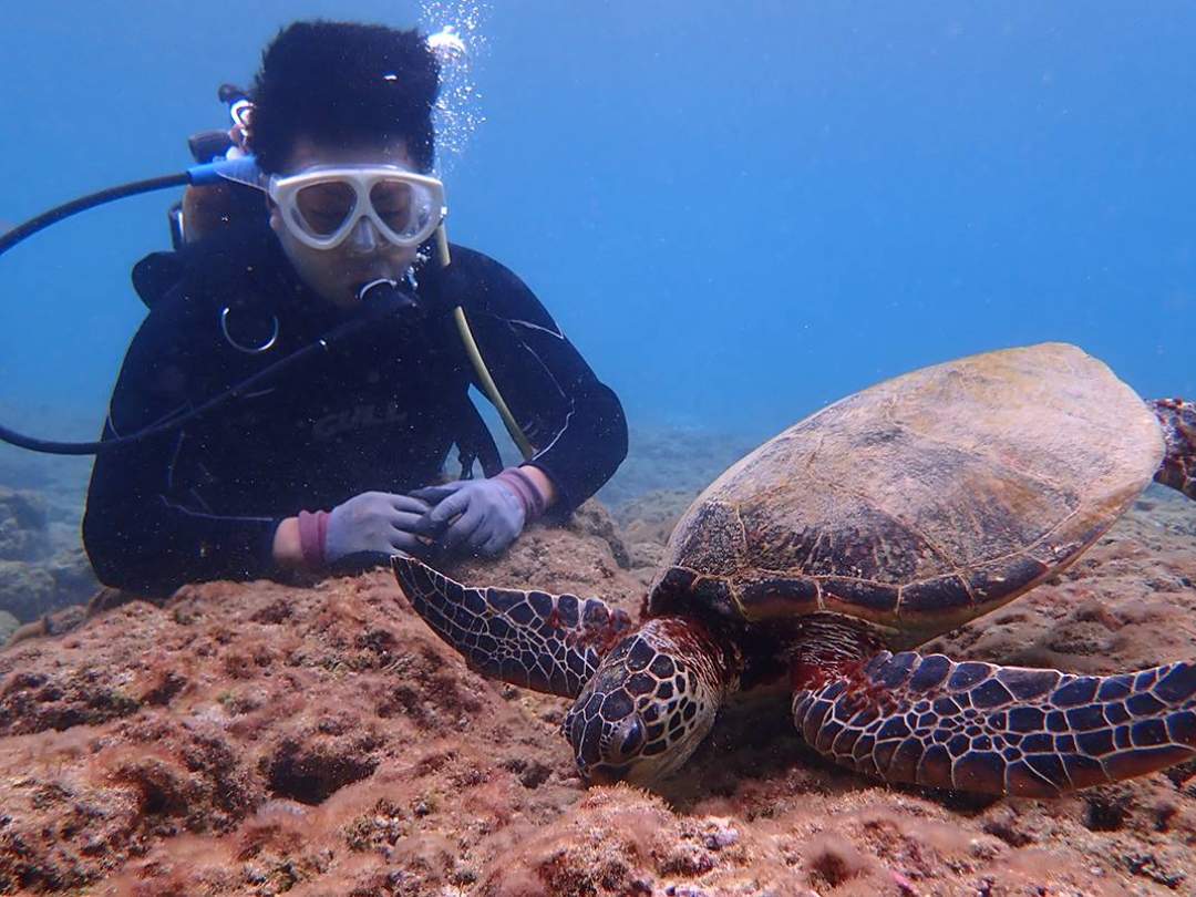 青く澄んだ屋久島の海は豊かな生態系を育み、様々な生き物たちが平和に暮らす豊かな楽園を作り上げています。そんな美しい屋久島の海を覗いてみよう！