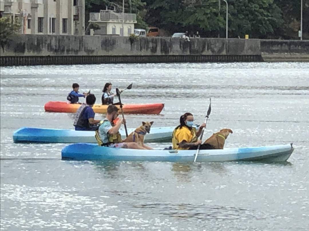 愛犬と一緒にカヤックを楽しむこともできます！