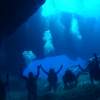 【鹿児島】2ダイブで充実！沖永良部島で体験ダイビング！【送迎あり・少人数制】
