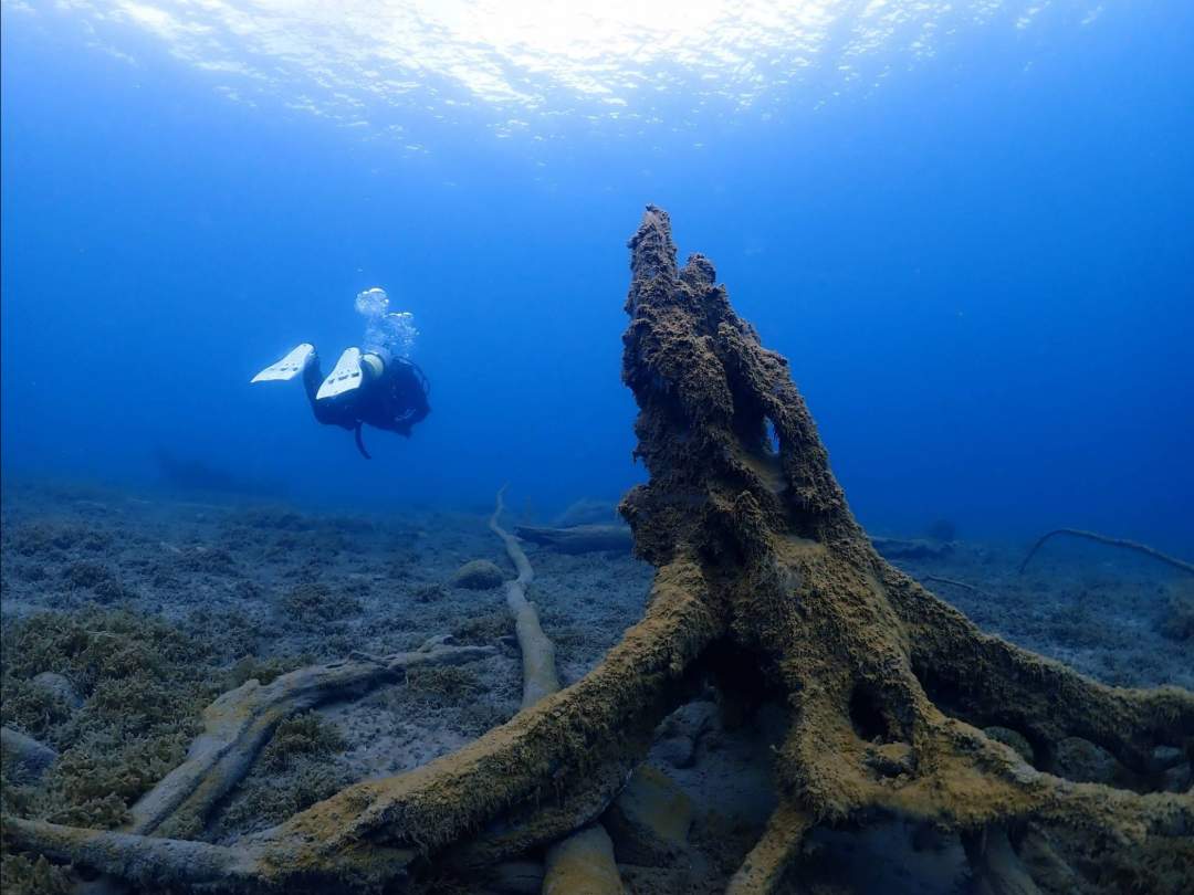 北海道支笏湖ダイビング ・１名様より催行。世界屈指の透明度の湖で潜る。午前2DIVE(午後から参加2DIVEも可能）