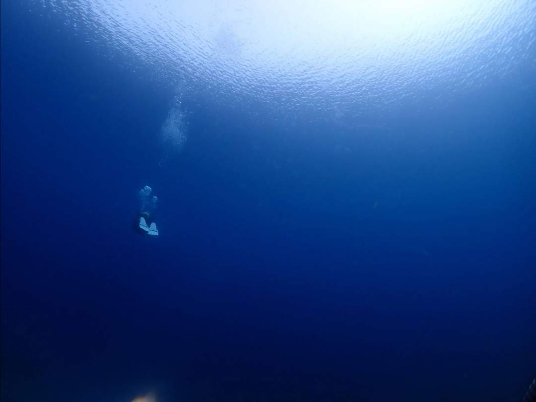北海道支笏湖ダイビング ・１名様より催行。世界屈指の透明度の湖で潜る。午前2DIVE(午後から参加2DIVEも可能）