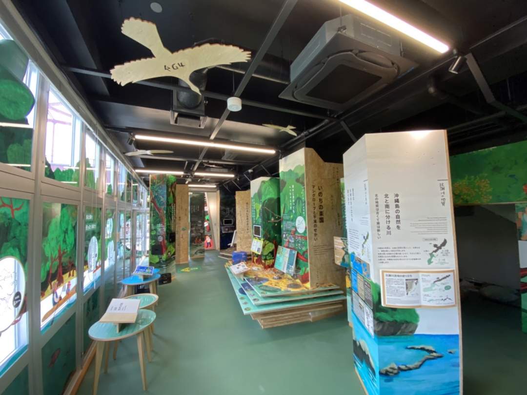 自然体験センターで「比謝川」の自然や歴史についても学ぶことができます
