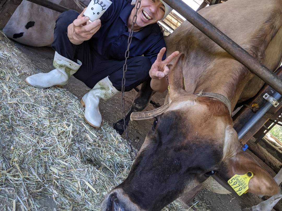 ホルスタインとジャージーを飼養しています。