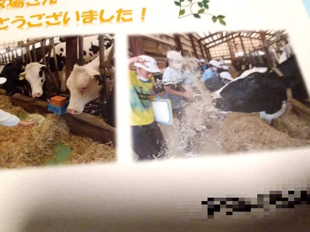 地元保育園の受入もしています
