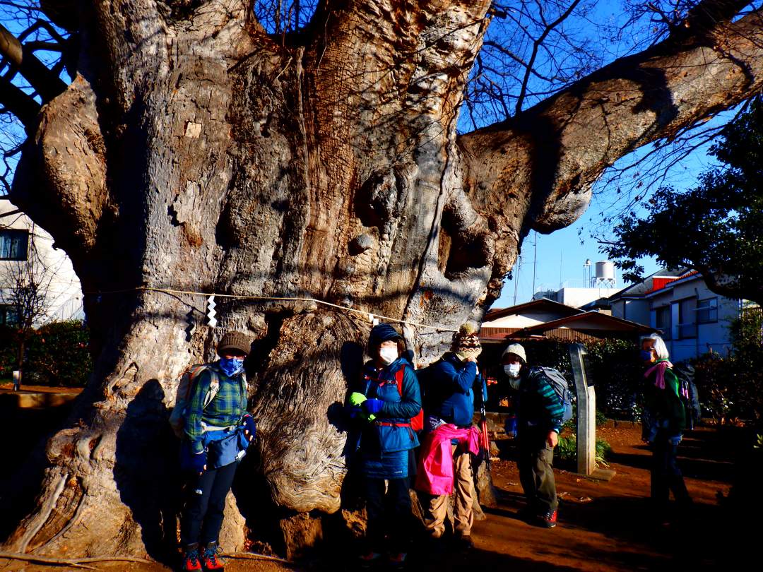 自然豊かな 里山歩きもお楽しみください。下山後は温泉などにもご案内できます（月休）。