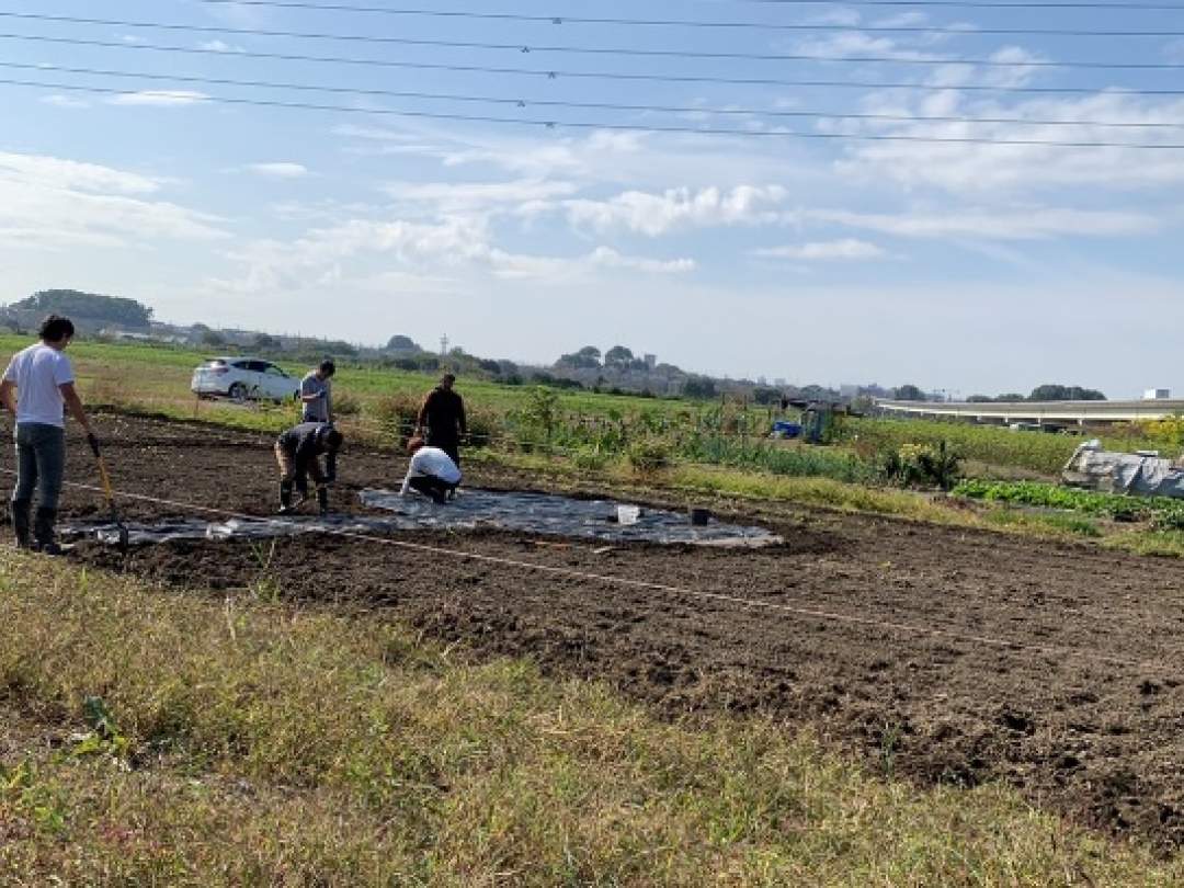 【埼玉県・さいたま市】小麦畑を一からつくる