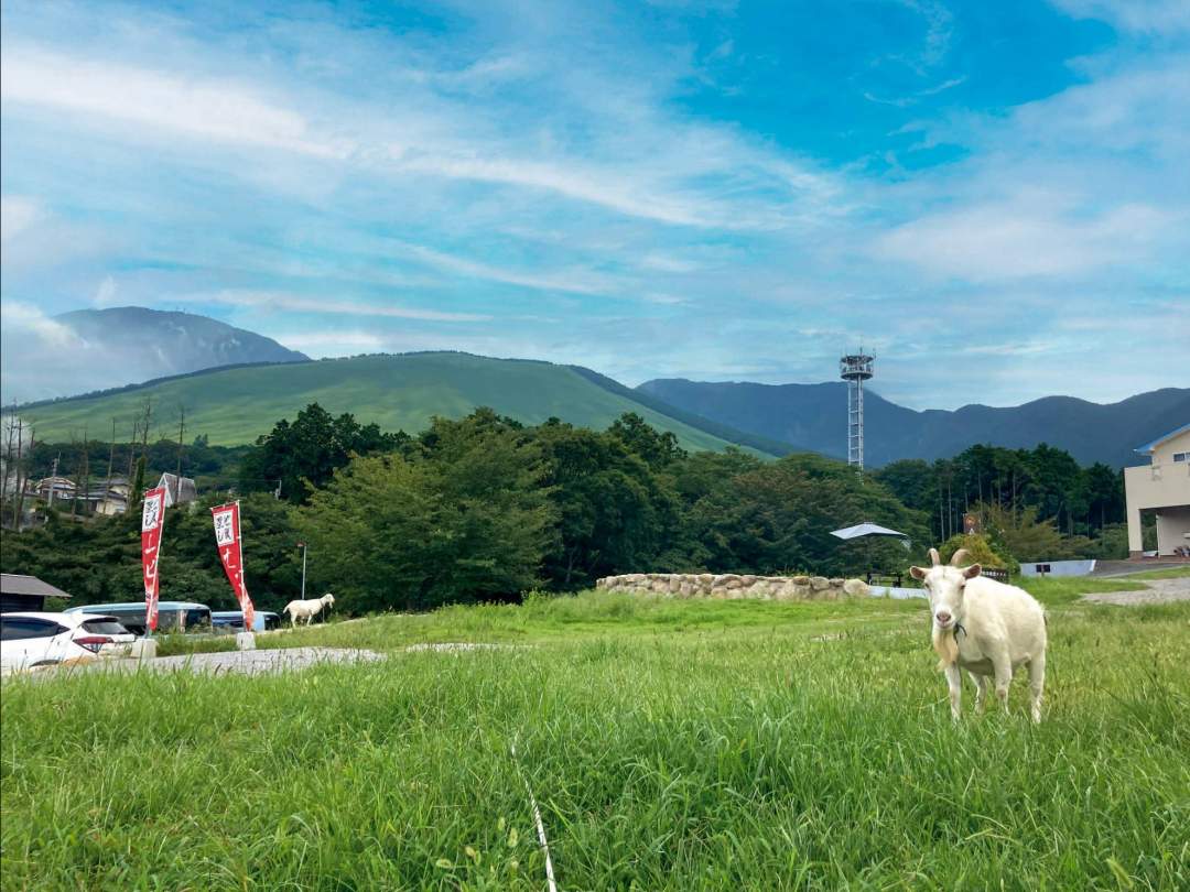 足湯に浸かりながらほっこり一息。【足湯★ドリンク+お土産付★】自慢の湯でゆったり♪