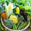 例）地元産の野菜をふんだんに利用（一例）