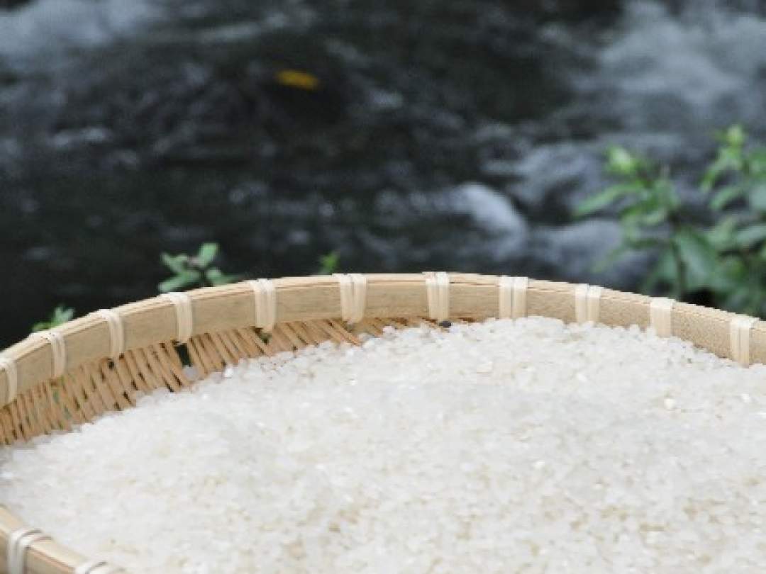 オーナーシェフおまかせ洋食ディナー