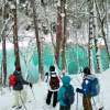 真っ白な雪原の中で青色がよりいっそう映える「青沼」