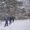 真っ白な雪の森にガイドの先導で入っていきます。