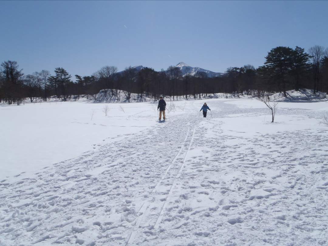 「歩く、止まる、滑る」の基本講習は整備された広いグランドで行います。慣れないスキーで転ぶこともありますが、経験豊富なガイドが丁寧に講習するのではじめてでも安心です。