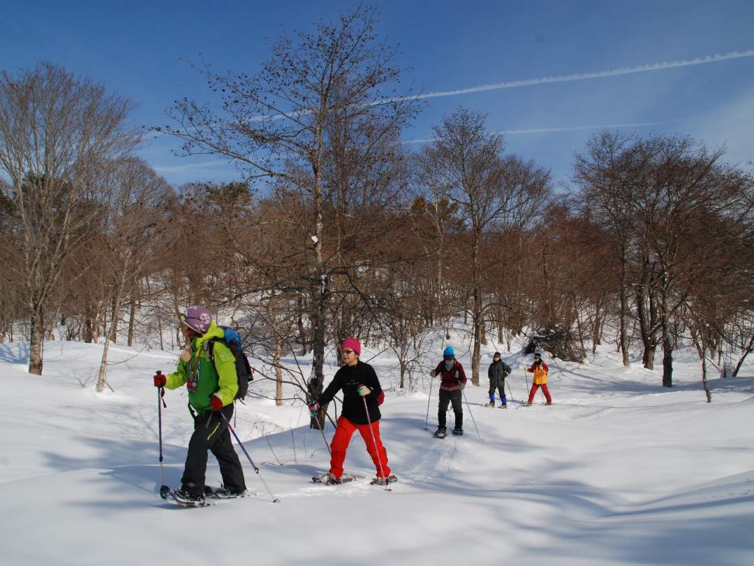 散策するフィールドは磐梯山噴火で岩なだれが到達した最北地点です。”流れ山”と呼ばれる小山が変化の有る風景を造ります。