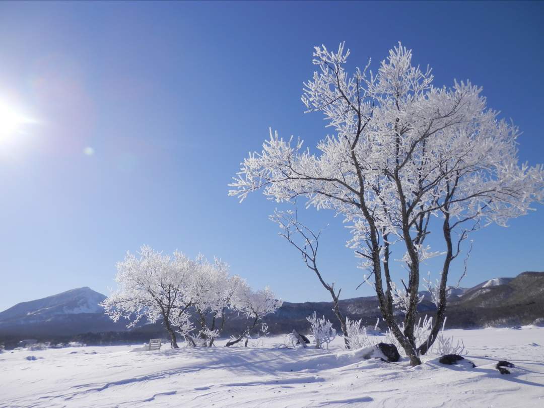 凍った桧原湖氷上を歩く　絶景体験