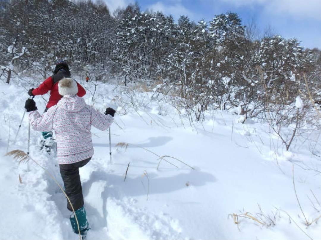 【裏磐梯 スノーシュー体験】 雪遊び午前・午後の半日コース！