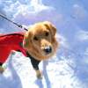 【裏磐梯 スノーシュー体験】 雪遊び午前・午後の半日コース！