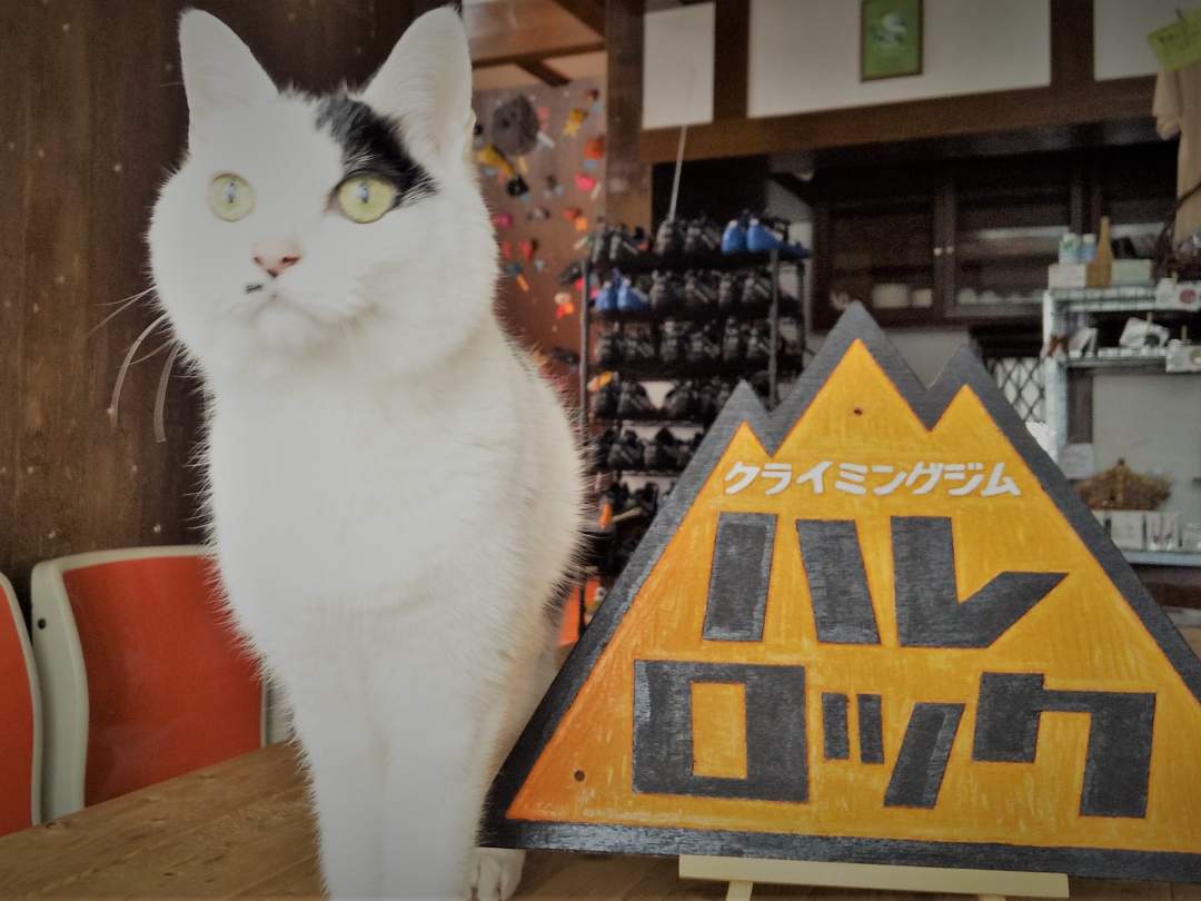 クライミングジム　ハレロック