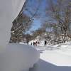 雪が作り出す芸術　普段歩けない場所へ